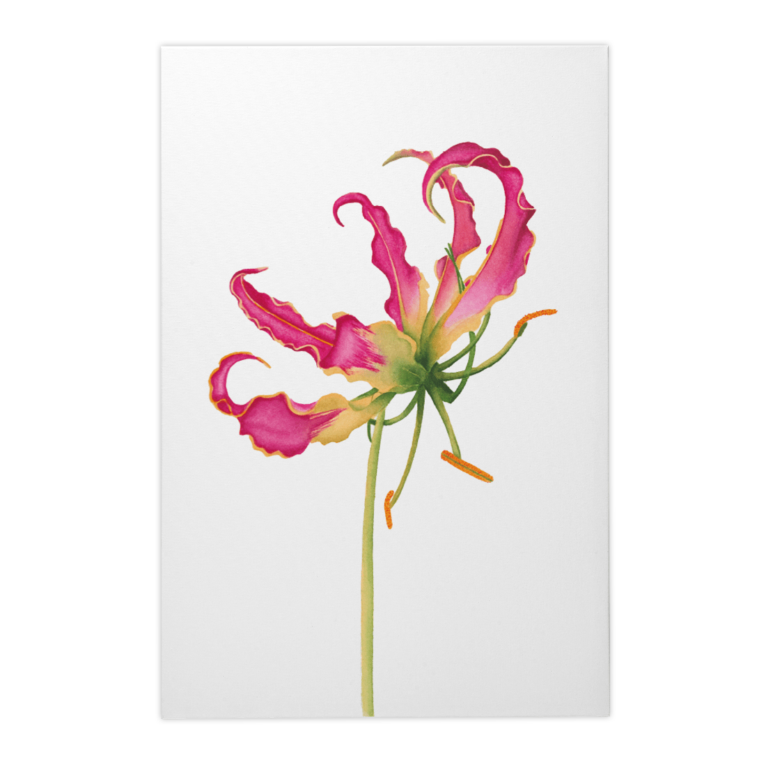 Quadro Decorativo Flor Gloriosa | Aline Gomes - Meu Rodapé