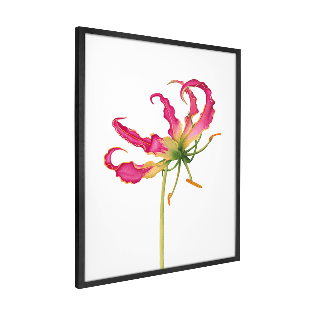Quadro Decorativo Flor Gloriosa | Aline Gomes - Meu Rodapé