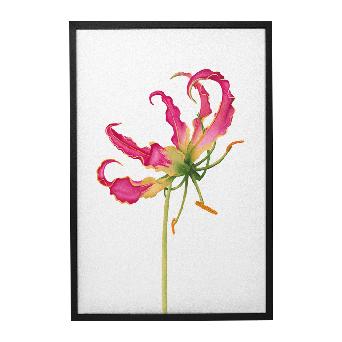Quadro Decorativo Flor Gloriosa | Aline Gomes - Meu Rodapé