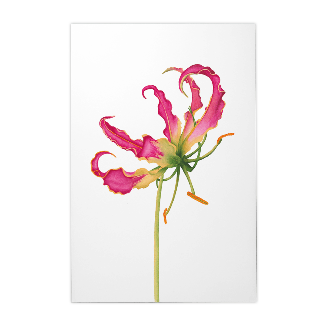 Quadro Decorativo Flor Gloriosa | Aline Gomes - Meu Rodapé