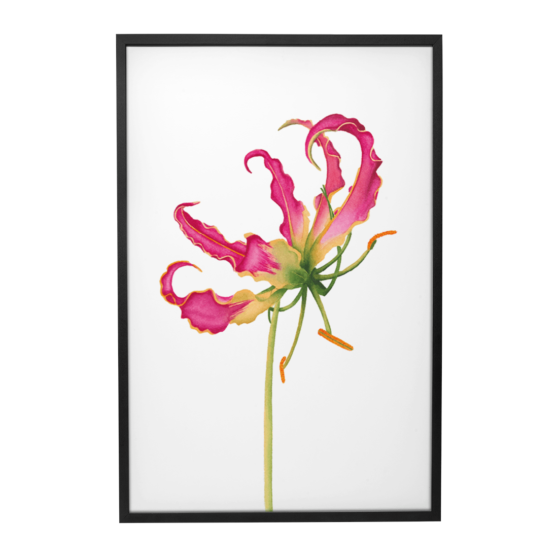 Quadro Decorativo Flor Gloriosa | Aline Gomes - Meu Rodapé