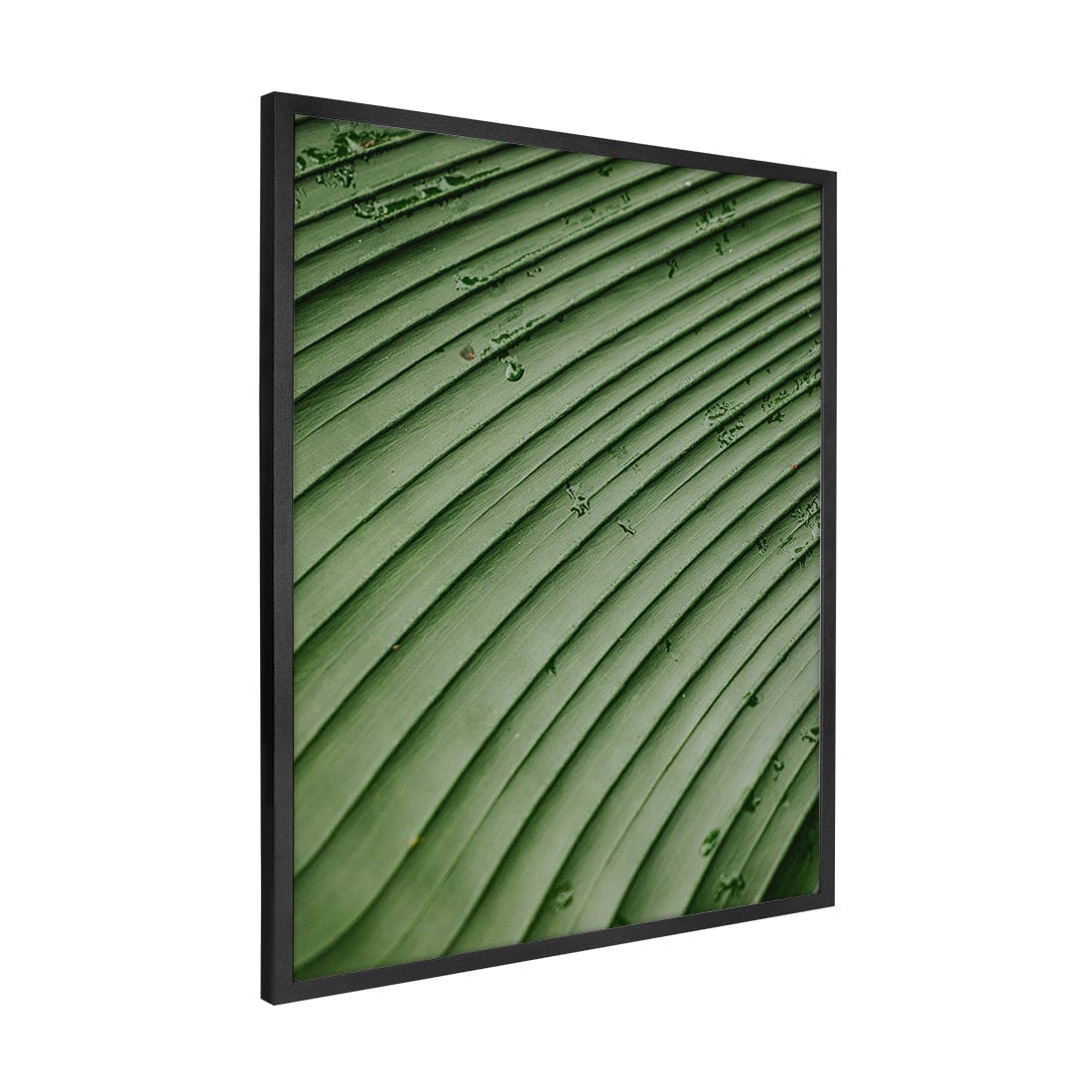 Quadro Decorativo Folhas 4 | Albori Ribeiro - Meu Rodapé