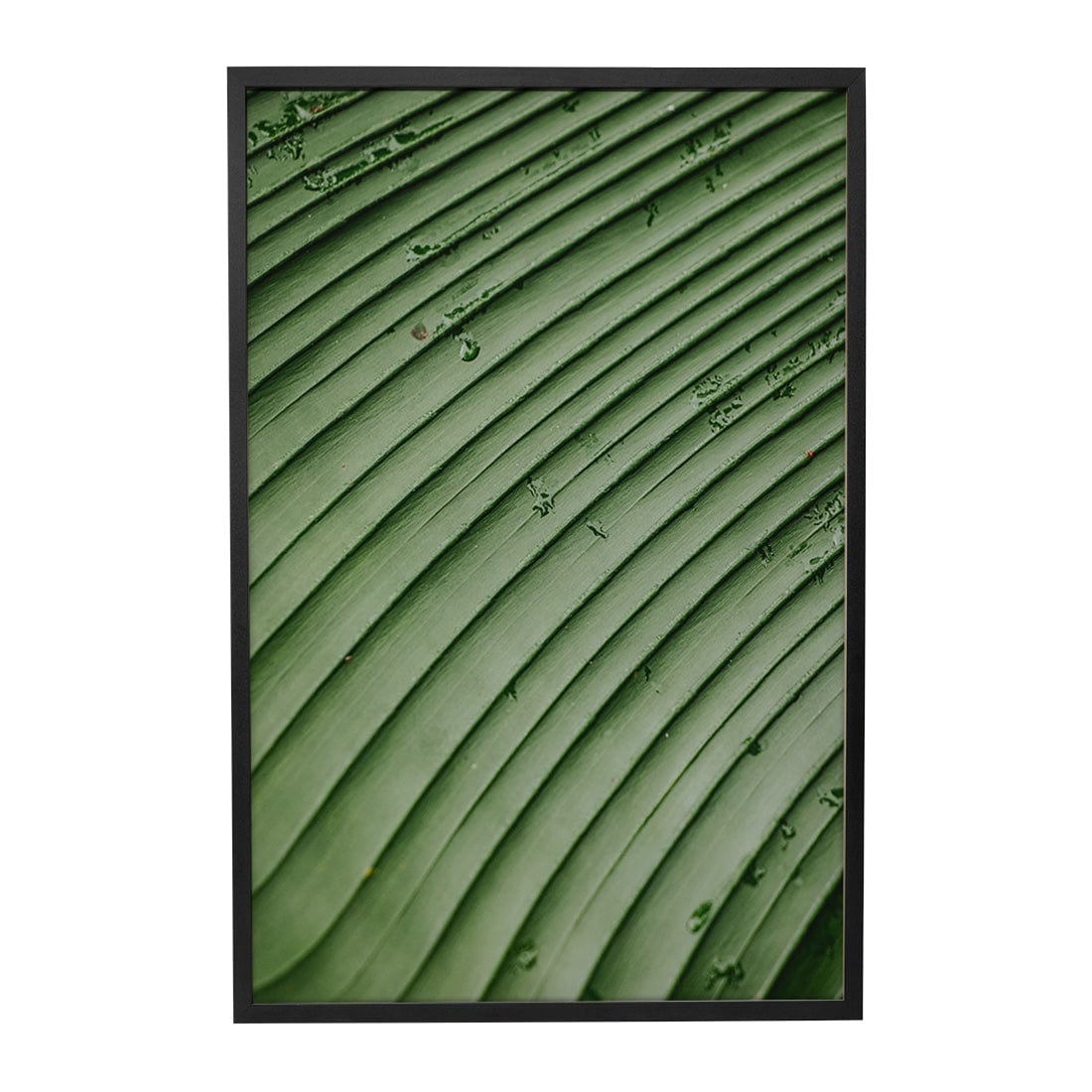 Quadro Decorativo Folhas 4 | Albori Ribeiro - Meu Rodapé