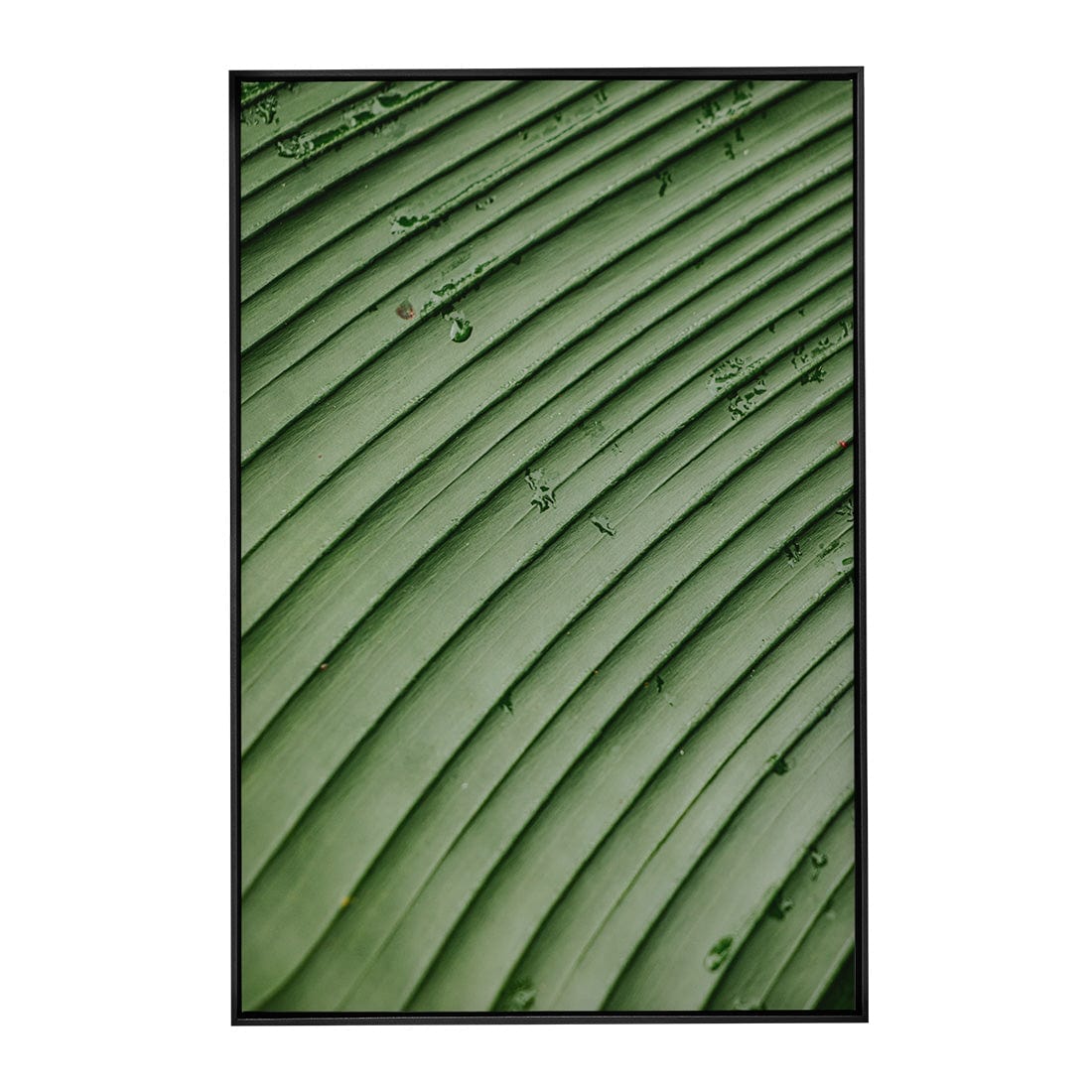 Quadro Decorativo Folhas 4 | Albori Ribeiro - Meu Rodapé