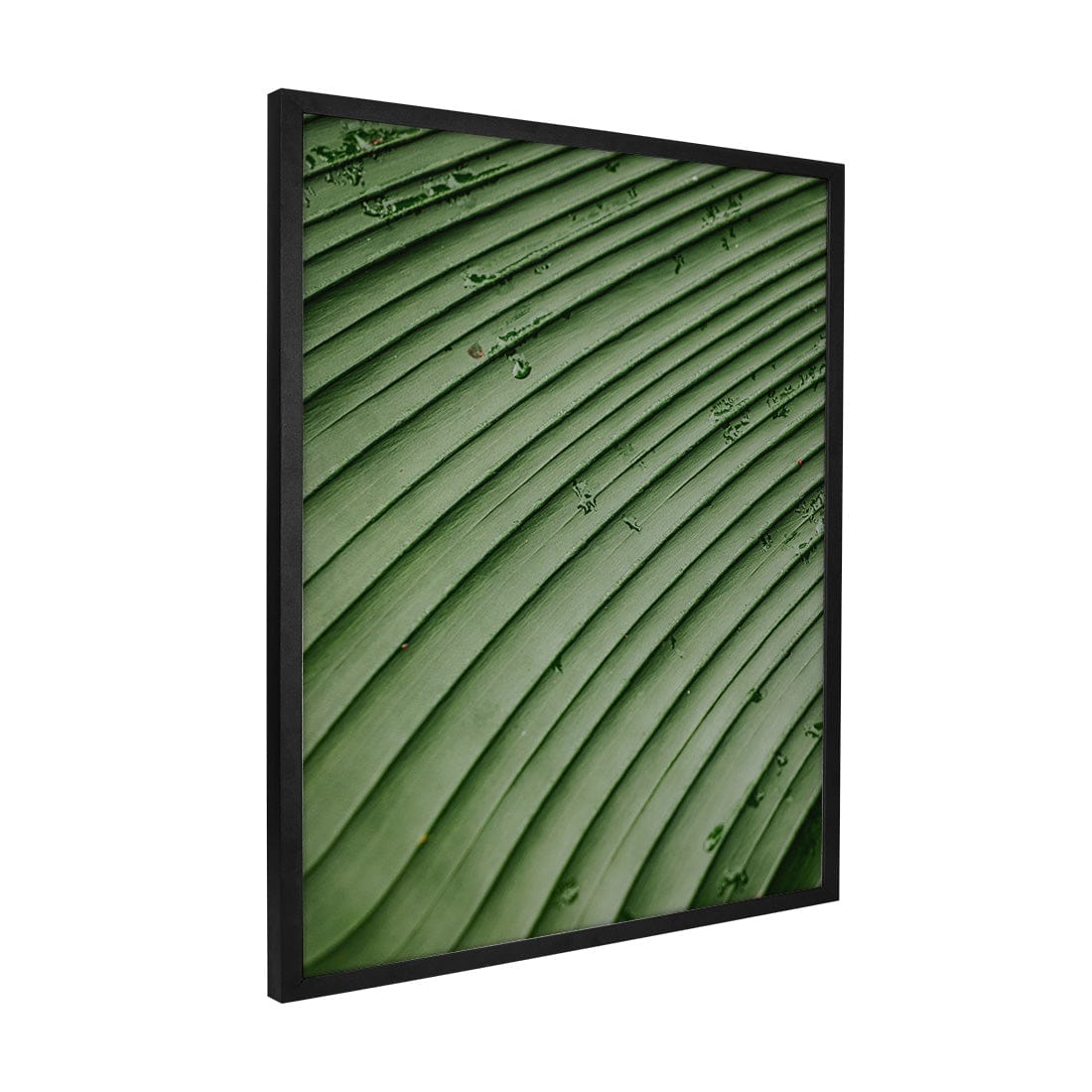 Quadro Decorativo Folhas 4 | Albori Ribeiro - Meu Rodapé