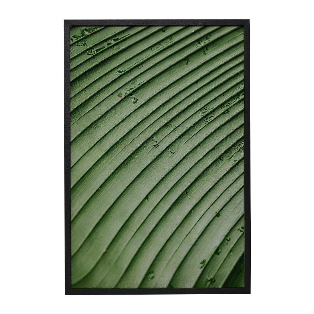 Quadro Decorativo Folhas 4 | Albori Ribeiro - Meu Rodapé