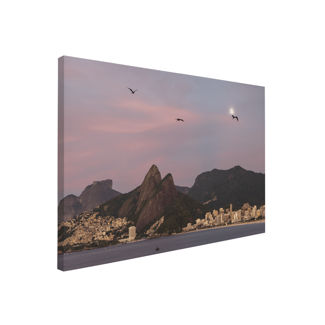 Quadro Decorativo Gaivotas | Roberto Cosseff - Meu Rodapé