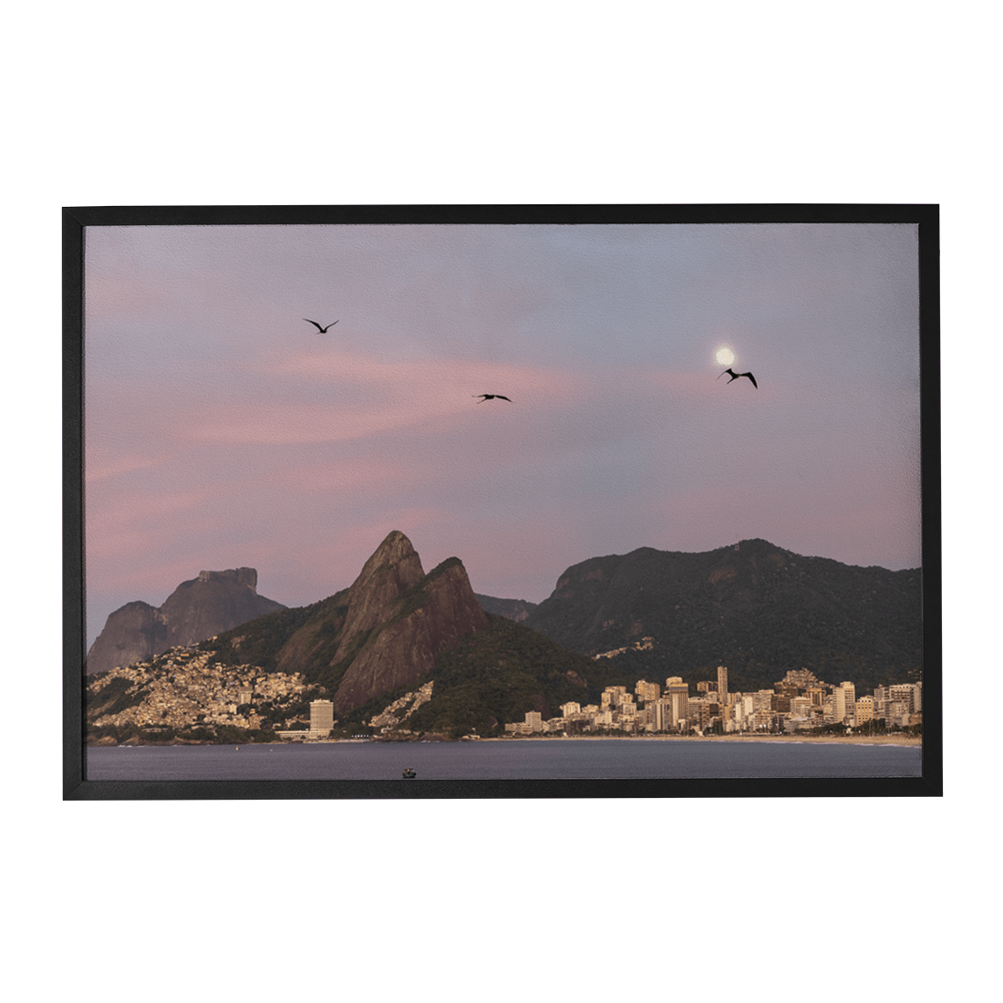 Quadro Decorativo Gaivotas | Roberto Cosseff - Meu Rodapé