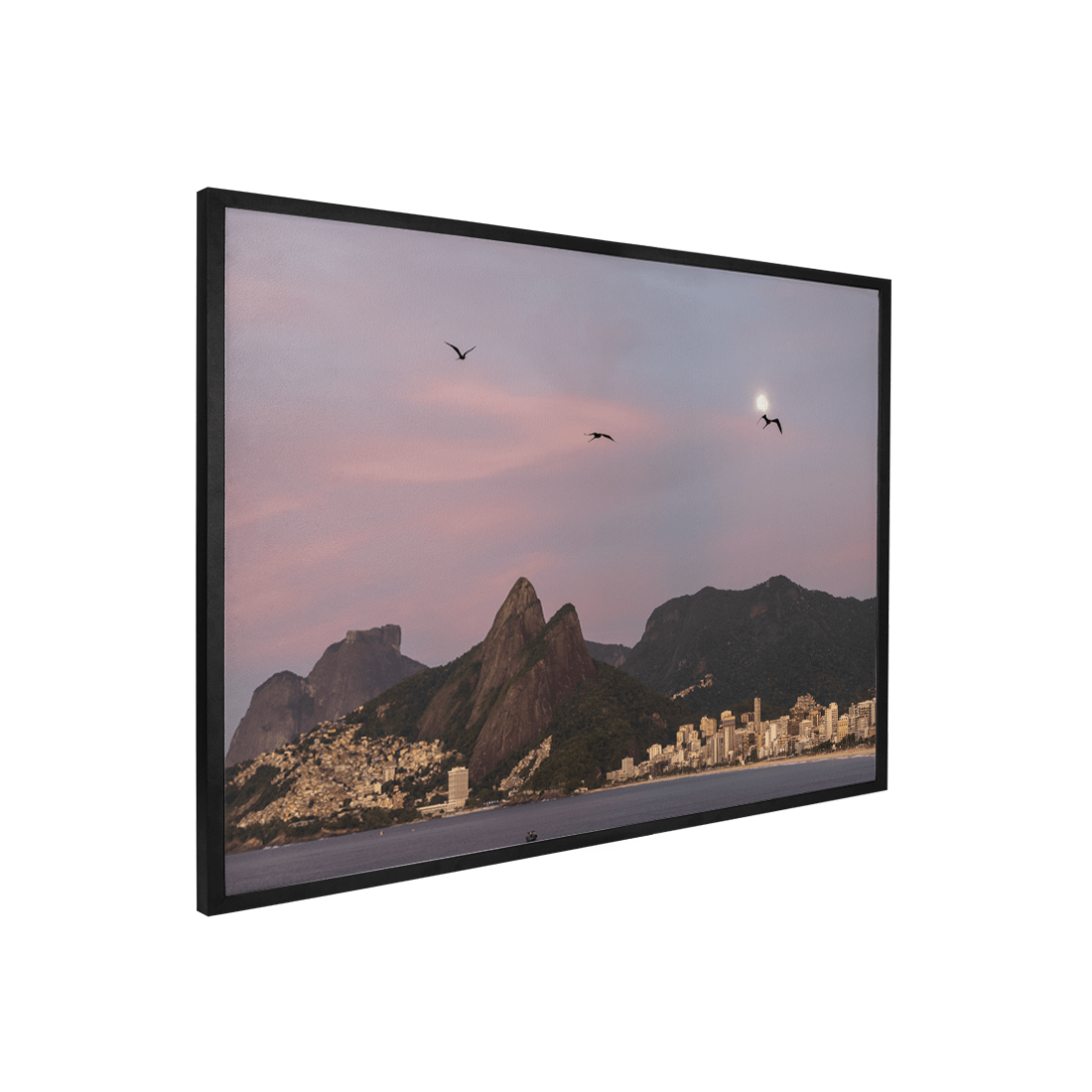 Quadro Decorativo Gaivotas | Roberto Cosseff - Meu Rodapé