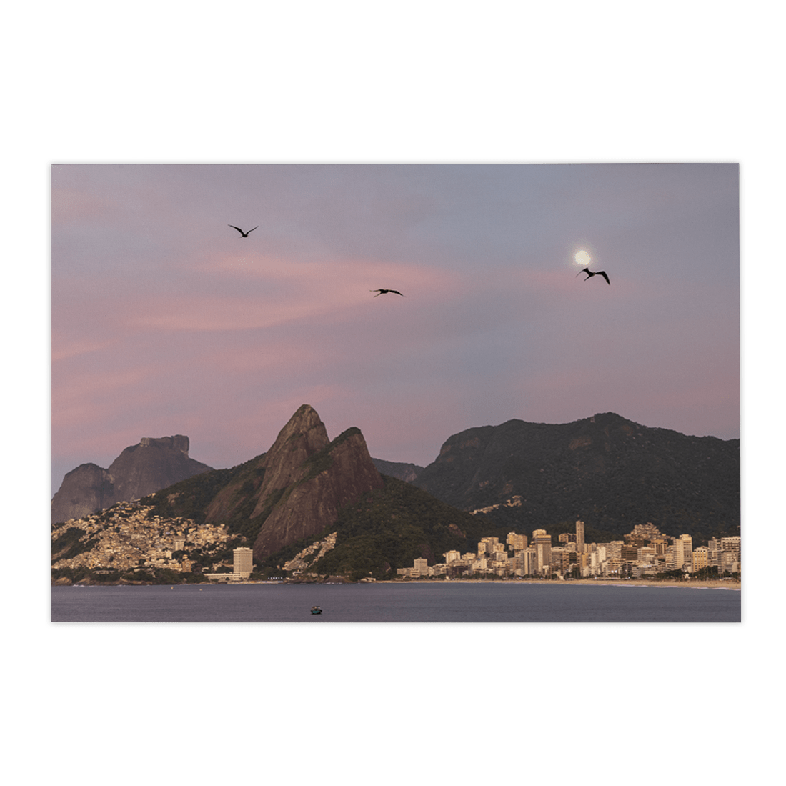 Quadro Decorativo Gaivotas | Roberto Cosseff - Meu Rodapé