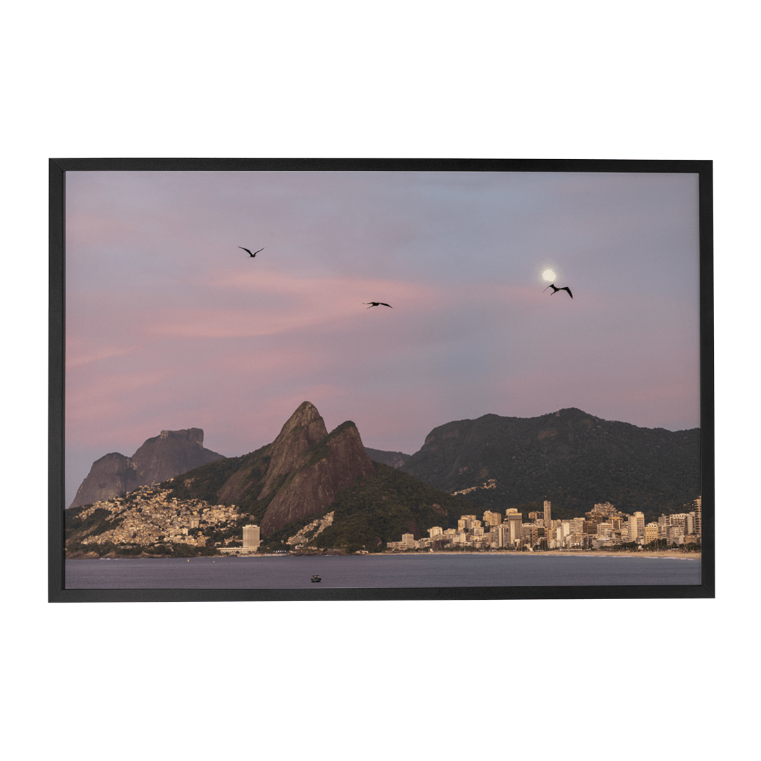 Quadro Decorativo Gaivotas | Roberto Cosseff - Meu Rodapé