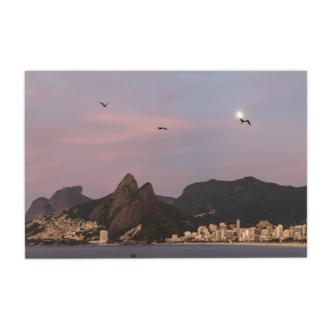 Quadro Decorativo Gaivotas | Roberto Cosseff - Meu Rodapé
