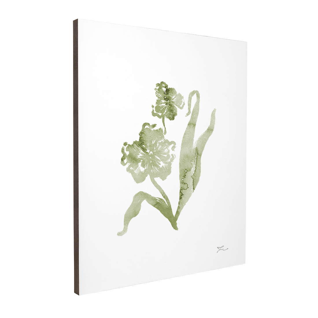 Quadro Decorativo Orquídea 01 | Thaís Mota - Meu Rodapé