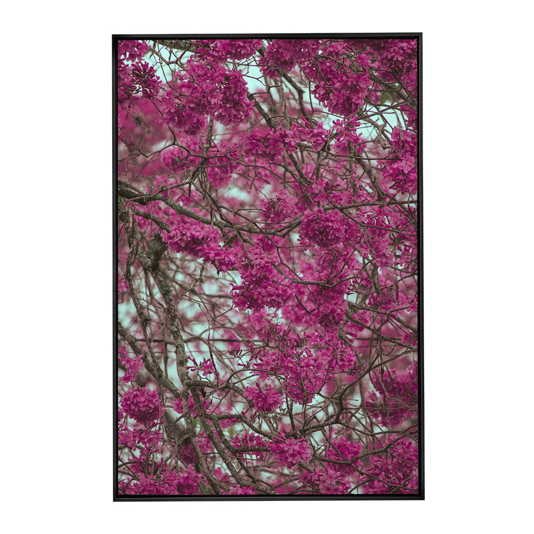 Quadro Decorativo Primavera | Albori Ribeiro - Meu Rodapé