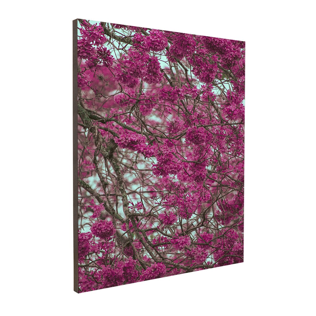 Quadro Decorativo Primavera | Albori Ribeiro - Meu Rodapé
