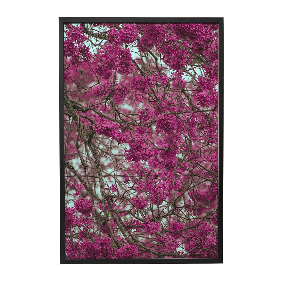 Quadro Decorativo Primavera | Albori Ribeiro - Meu Rodapé