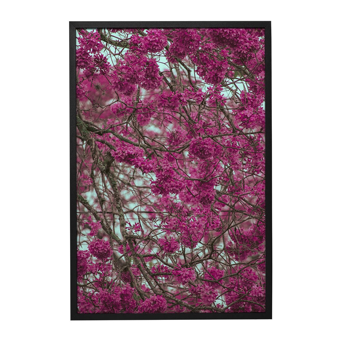 Quadro Decorativo Primavera | Albori Ribeiro - Meu Rodapé