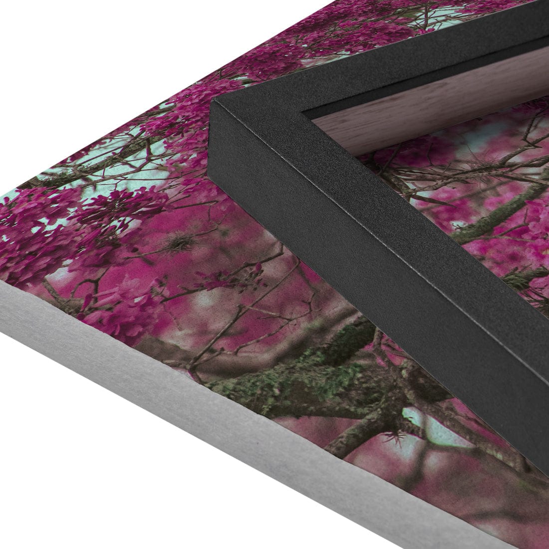 Quadro Decorativo Primavera | Albori Ribeiro - Meu Rodapé