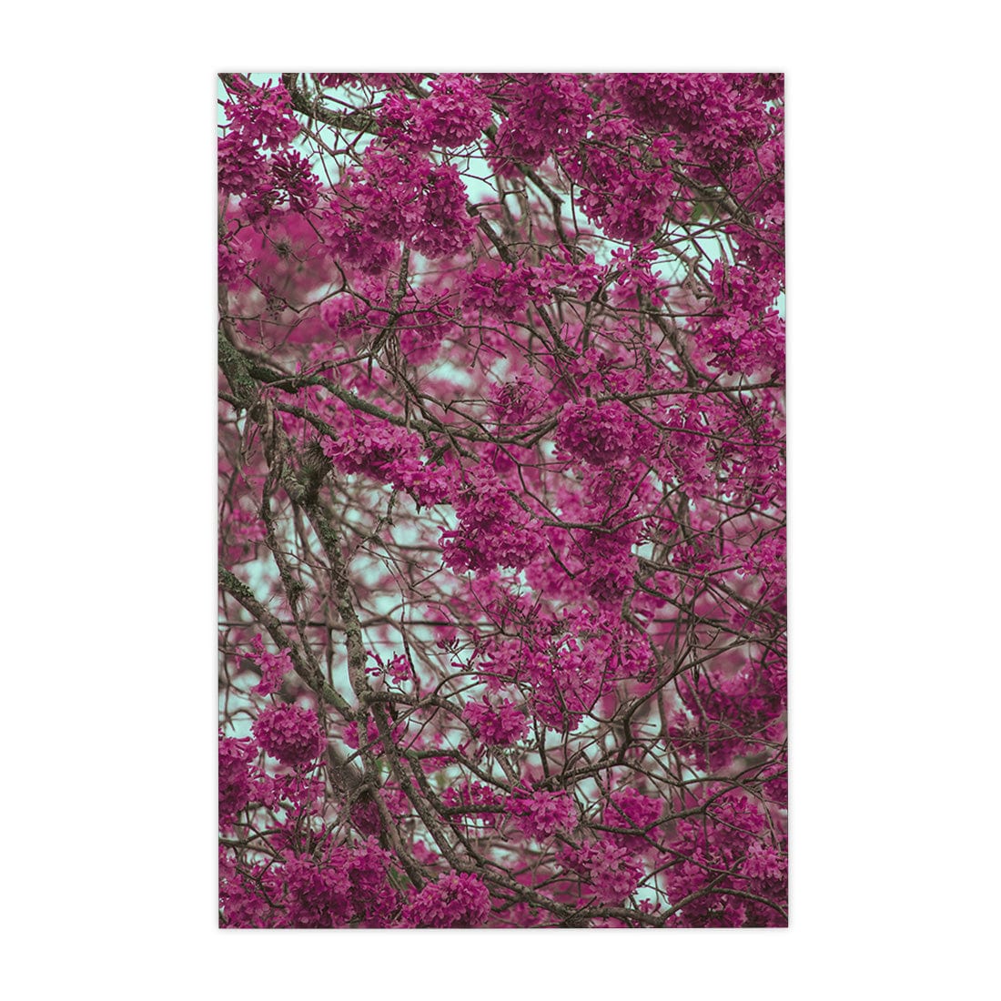 Quadro Decorativo Primavera | Albori Ribeiro - Meu Rodapé