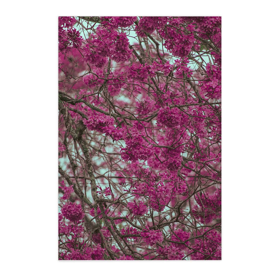 Quadro Decorativo Primavera | Albori Ribeiro - Meu Rodapé