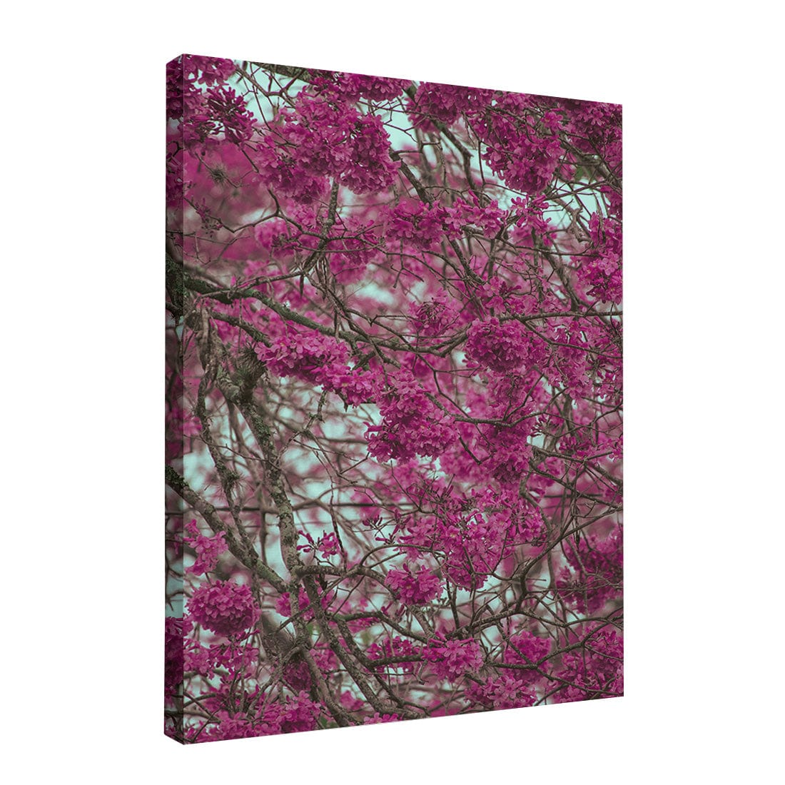 Quadro Decorativo Primavera | Albori Ribeiro - Meu Rodapé