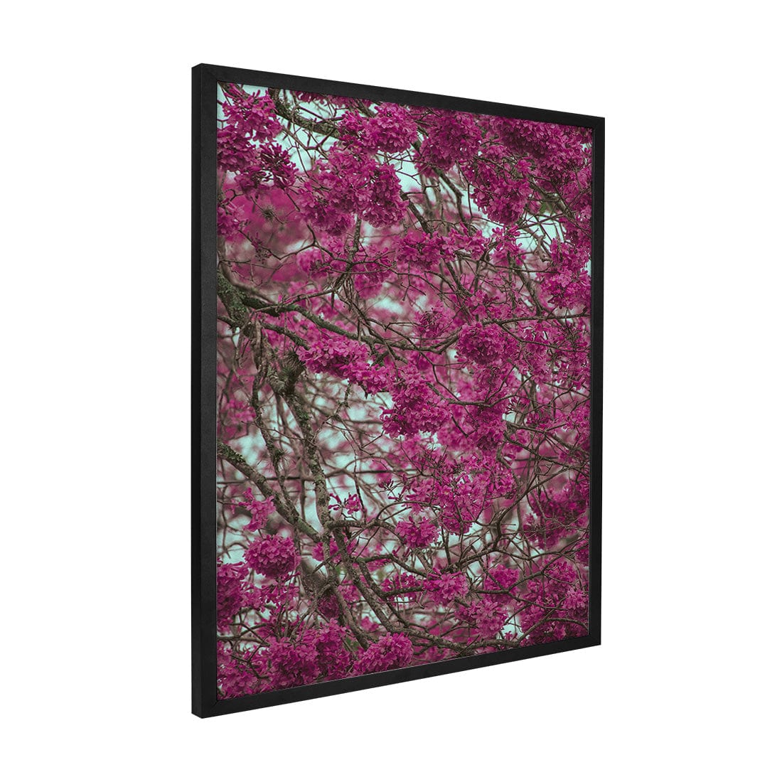 Quadro Decorativo Primavera | Albori Ribeiro - Meu Rodapé