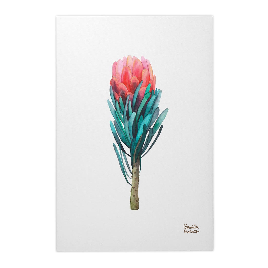 Quadro Decorativo Protea | Camila Pasinato - Meu Rodapé