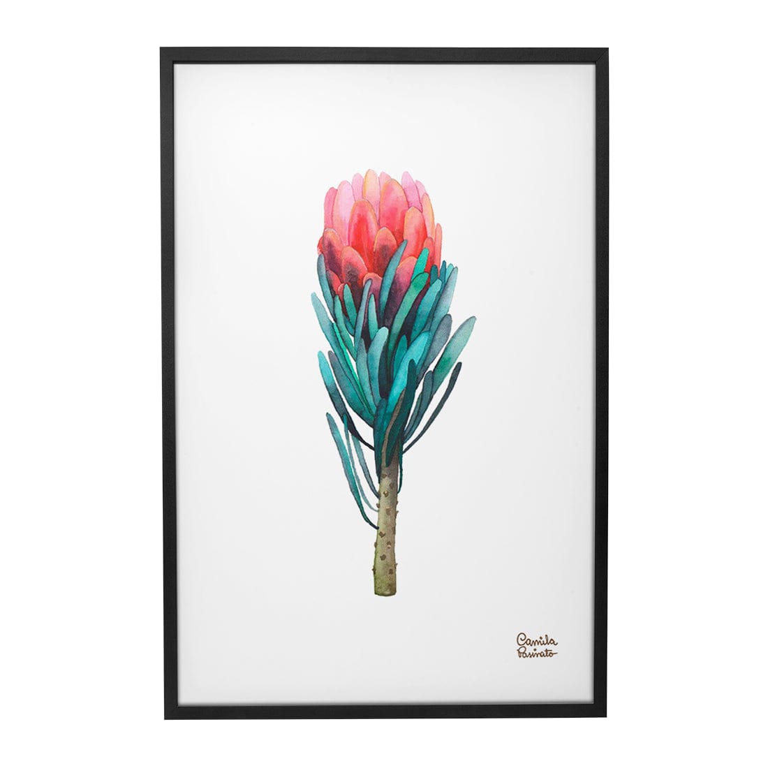 Quadro Decorativo Protea | Camila Pasinato - Meu Rodapé