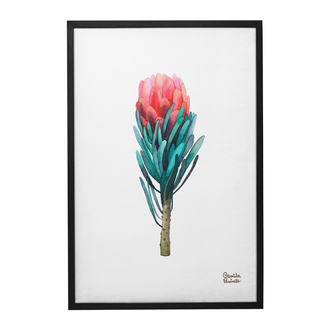 Quadro Decorativo Protea | Camila Pasinato - Meu Rodapé