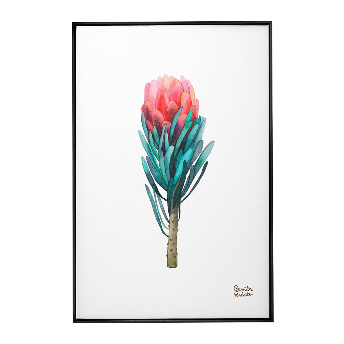 Quadro Decorativo Protea | Camila Pasinato - Meu Rodapé