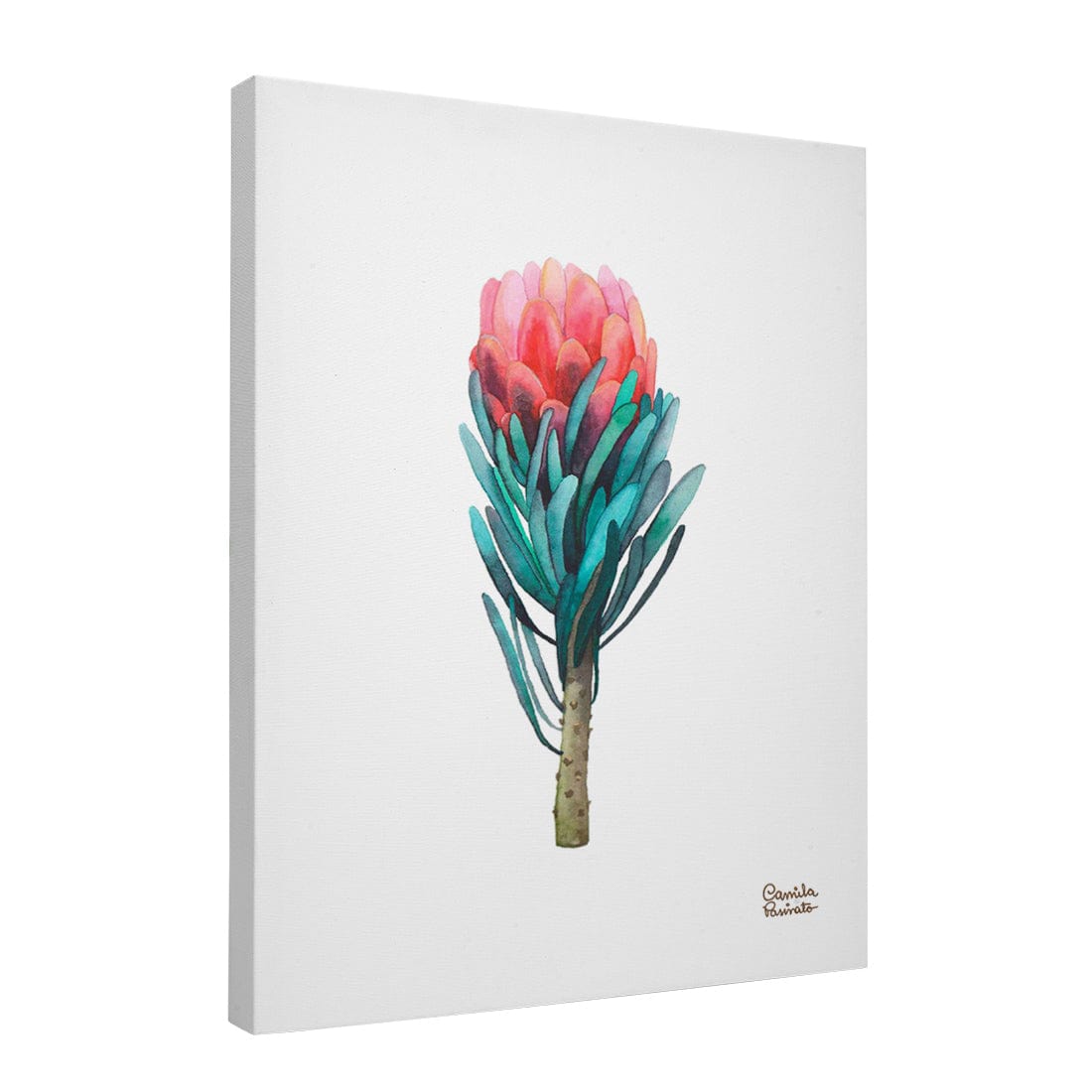 Quadro Decorativo Protea | Camila Pasinato - Meu Rodapé