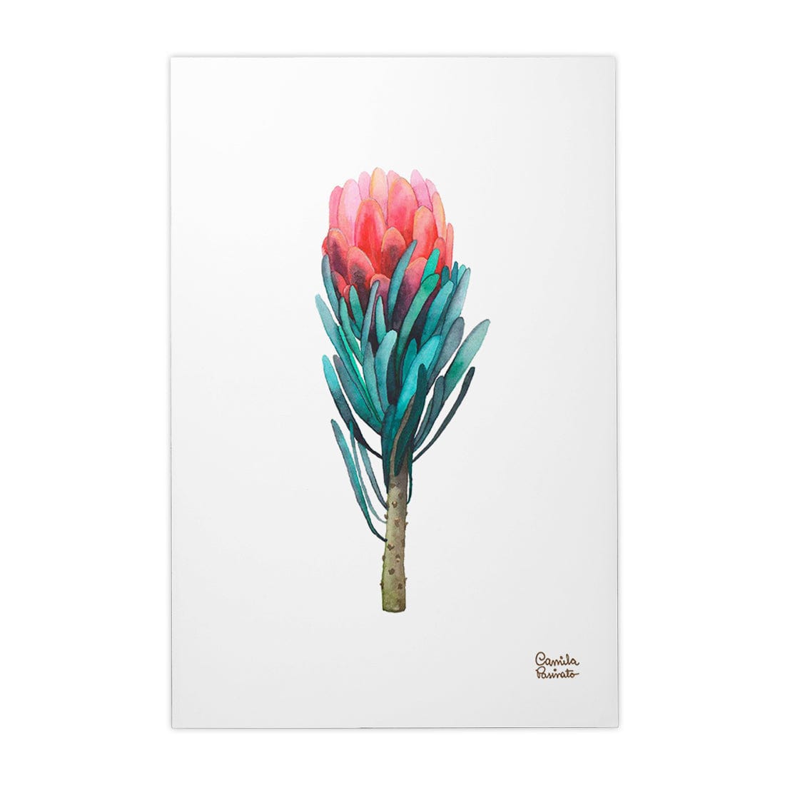 Quadro Decorativo Protea | Camila Pasinato - Meu Rodapé