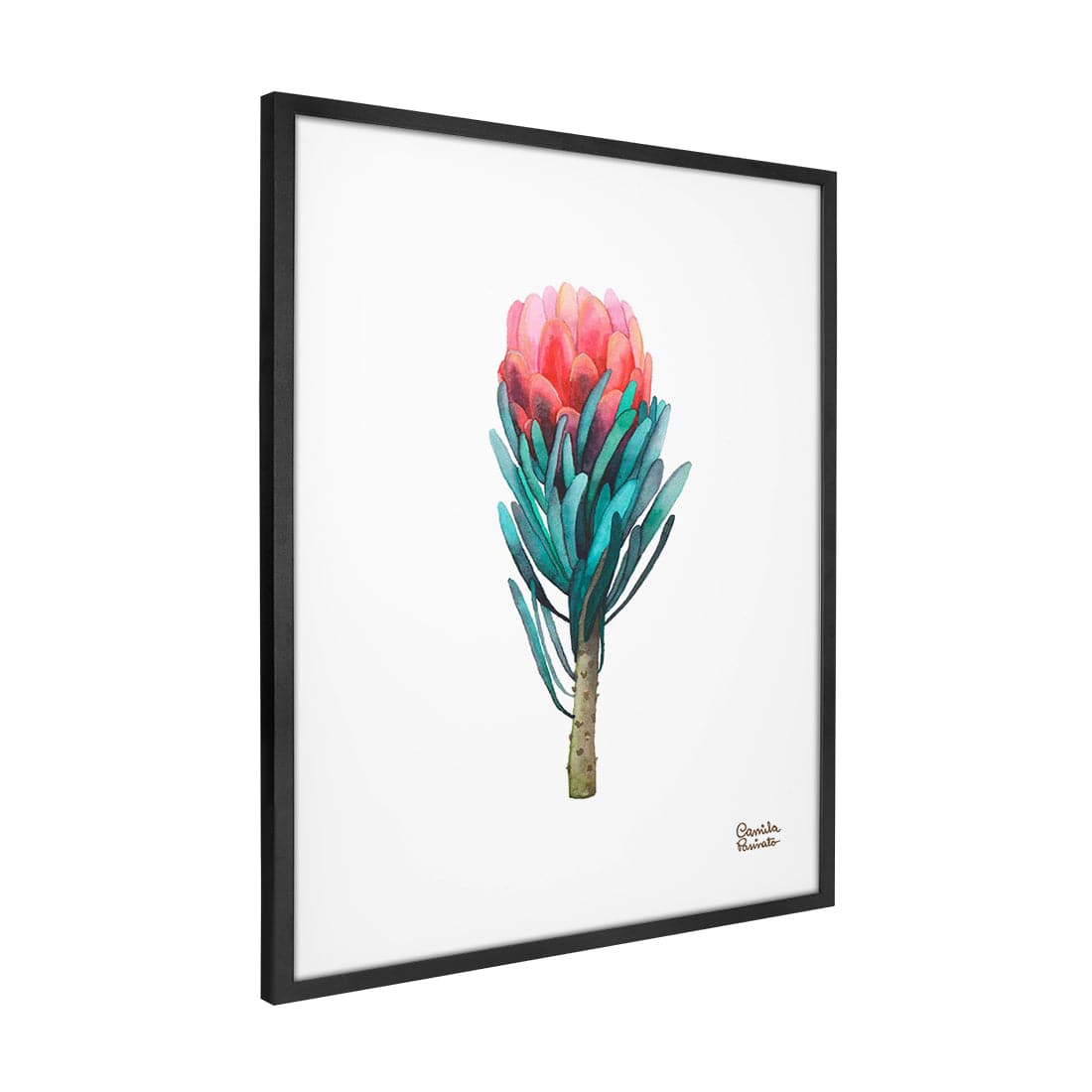 Quadro Decorativo Protea | Camila Pasinato - Meu Rodapé