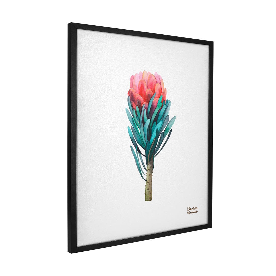 Quadro Decorativo Protea | Camila Pasinato - Meu Rodapé