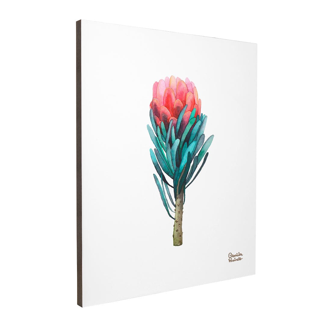 Quadro Decorativo Protea | Camila Pasinato - Meu Rodapé
