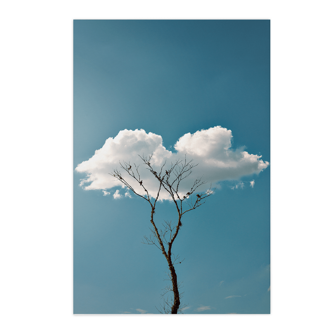 Quadro Decorativo Quietude | Glaucon Hartmam - Meu Rodapé