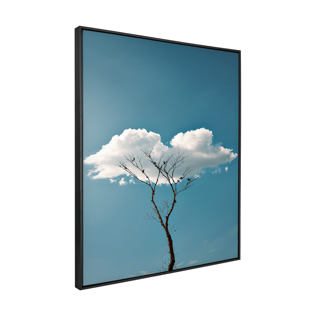 Quadro Decorativo Quietude | Glaucon Hartmam - Meu Rodapé