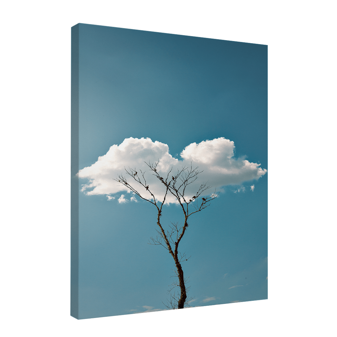Quadro Decorativo Quietude | Glaucon Hartmam - Meu Rodapé