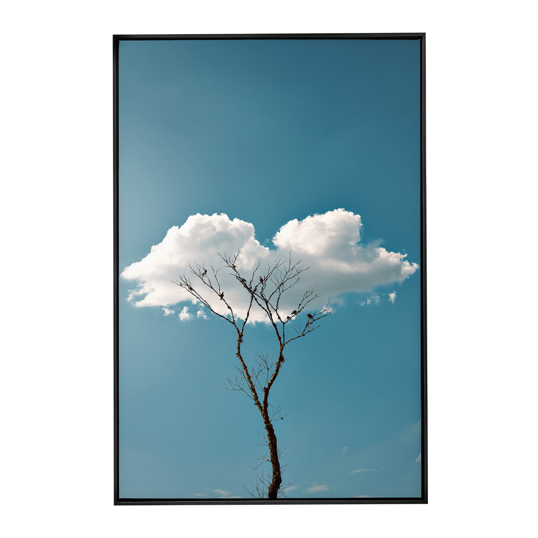 Quadro Decorativo Quietude | Glaucon Hartmam - Meu Rodapé