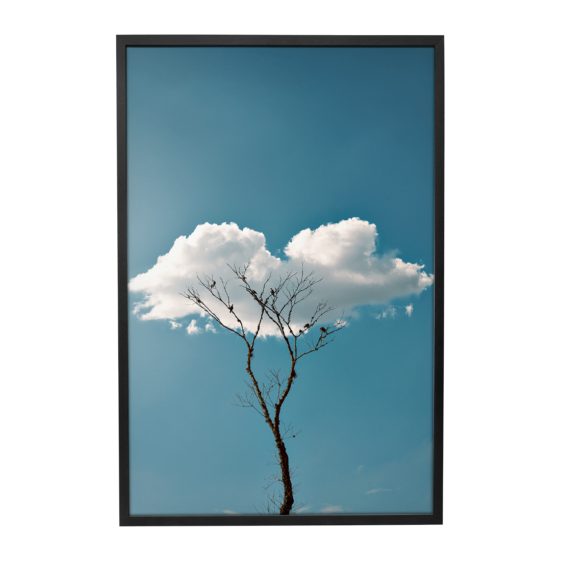 Quadro Decorativo Quietude | Glaucon Hartmam - Meu Rodapé