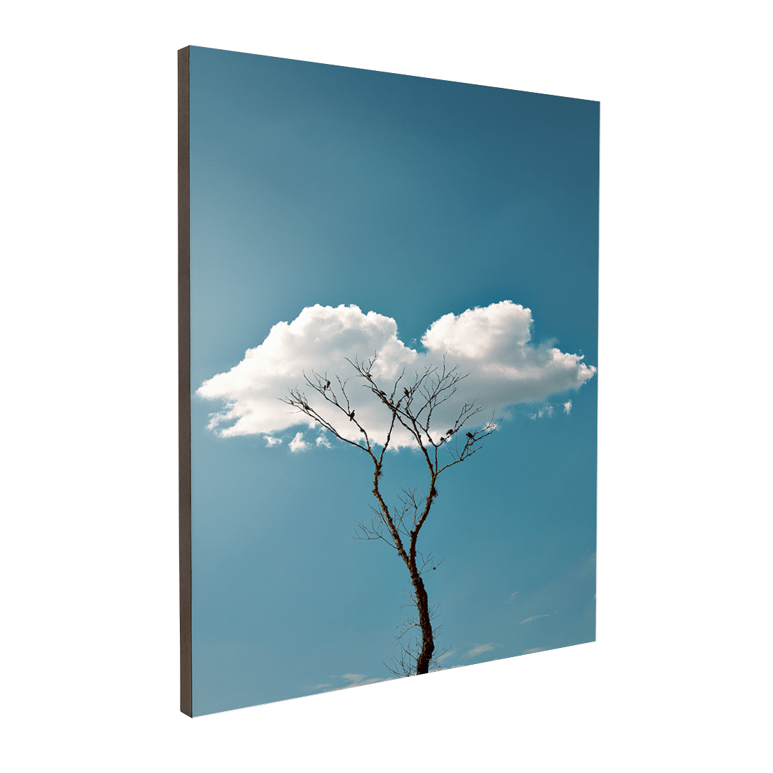Quadro Decorativo Quietude | Glaucon Hartmam - Meu Rodapé