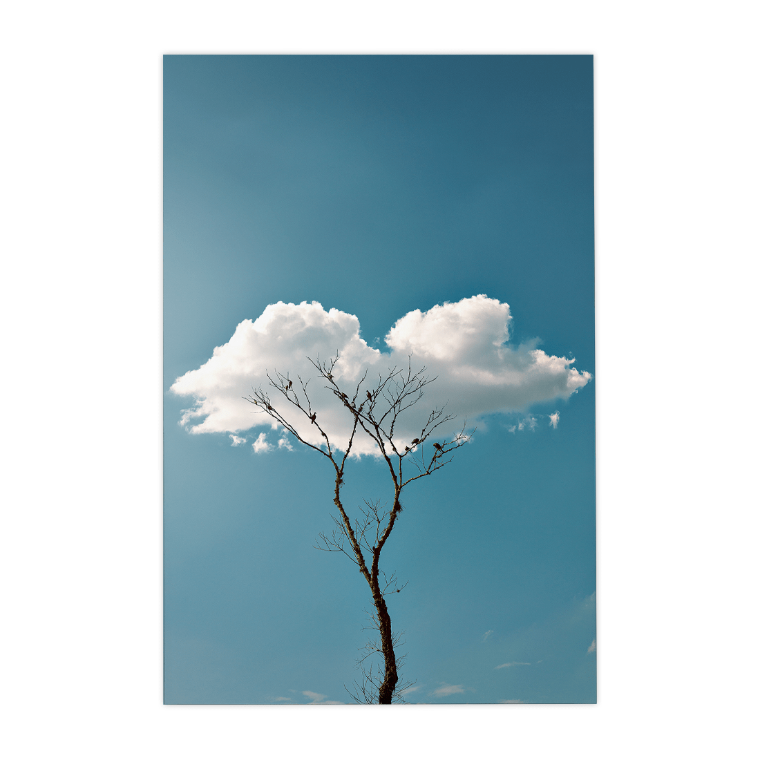 Quadro Decorativo Quietude | Glaucon Hartmam - Meu Rodapé