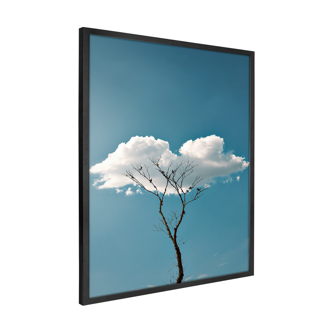 Quadro Decorativo Quietude | Glaucon Hartmam - Meu Rodapé