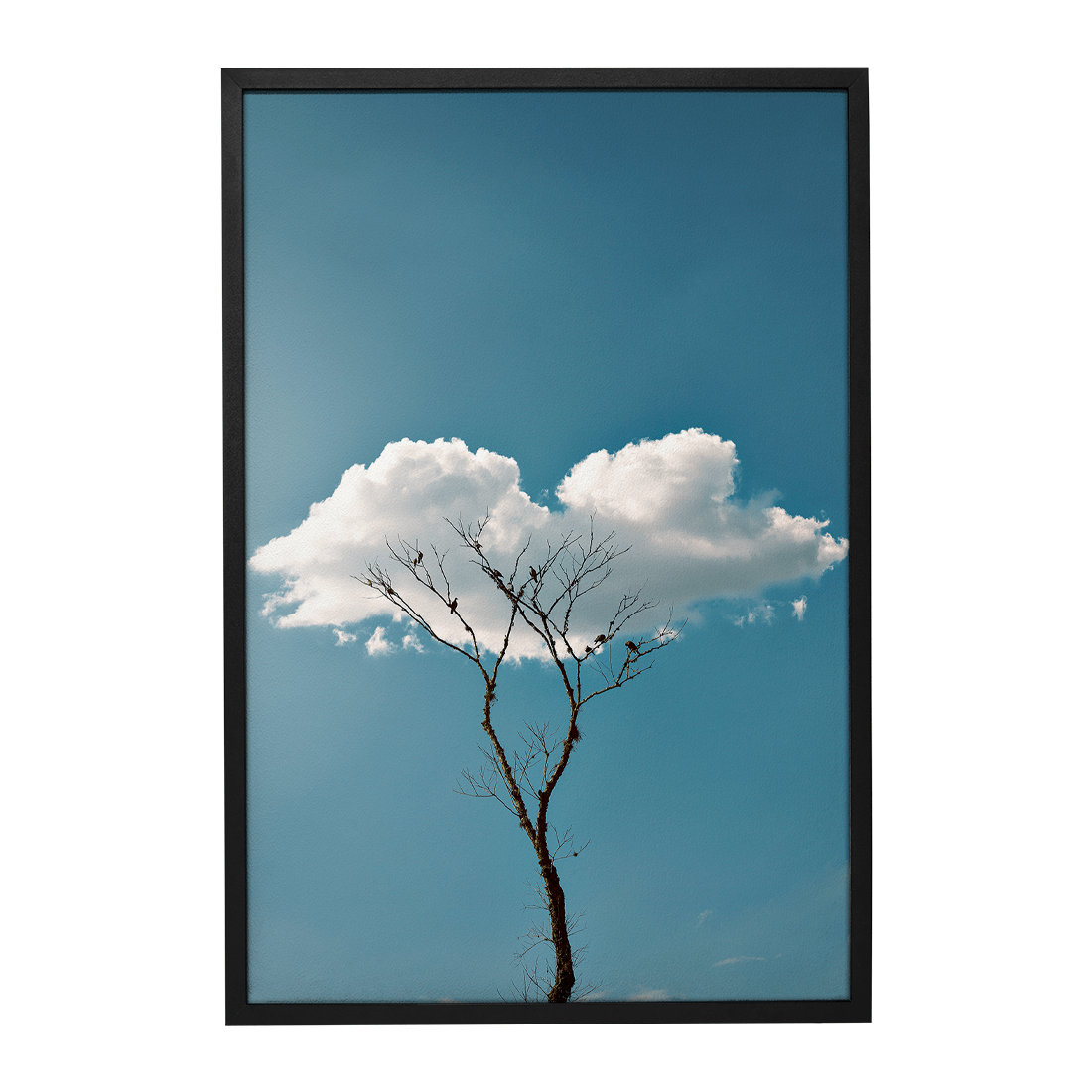 Quadro Decorativo Quietude | Glaucon Hartmam - Meu Rodapé