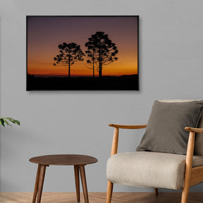 Quadro Decorativo Araucária | Crônicas na Bagagem
