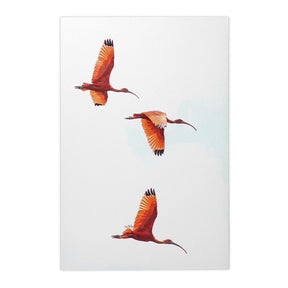 Quadro Decorativo Guará | Crônicas na Bagagem