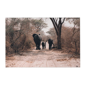 Quadro Decorativo Elefante África | Patricia Schussel Gomes