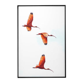 Quadro Decorativo Guará | Crônicas na Bagagem