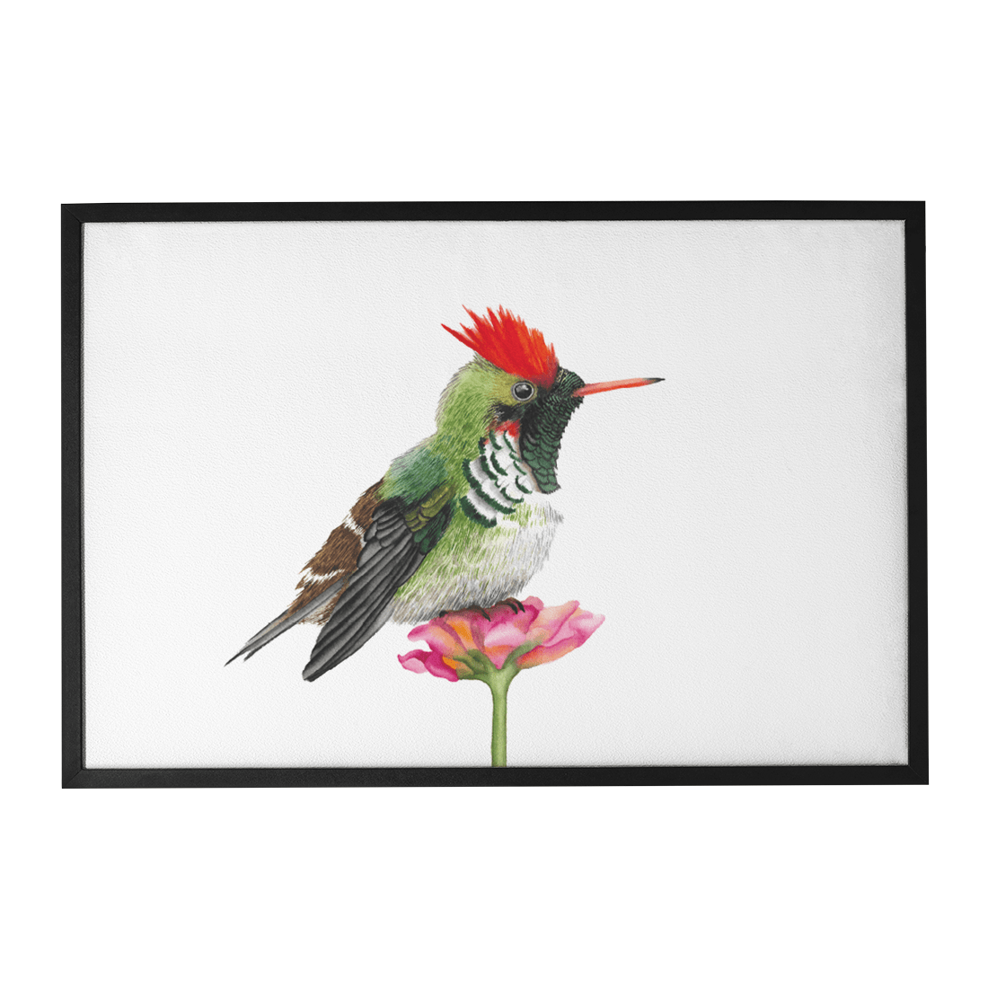 Quadro Decorativo Pássaro Beija-Flor | Aline Gomes