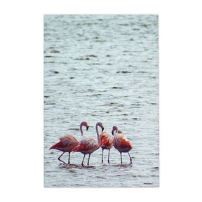 Quadro Decorativo Flamingo | Crônicas na Bagagem